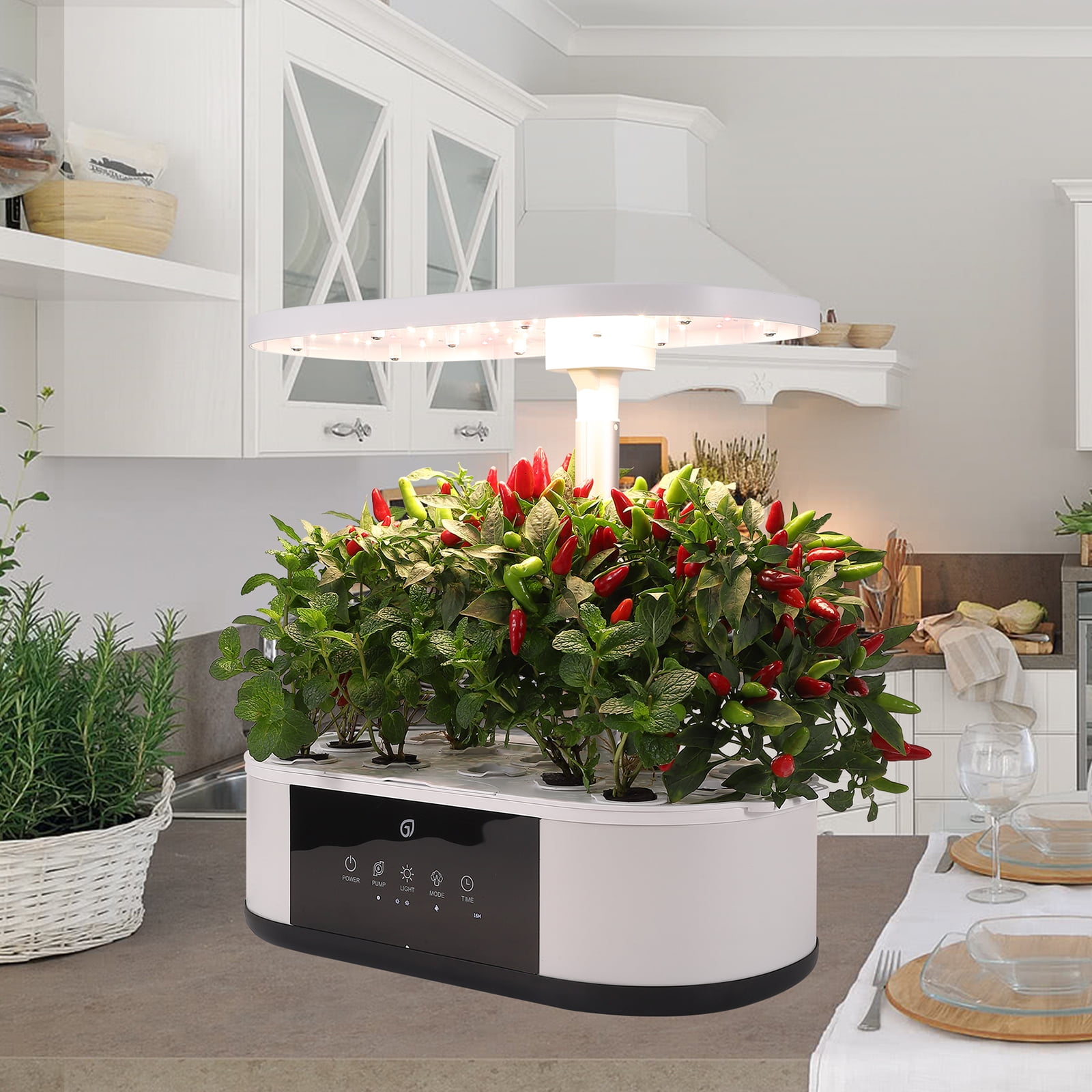 Hydroponics Growing System Indoor Garden, Herb Garden, 12 Pods Aluminum