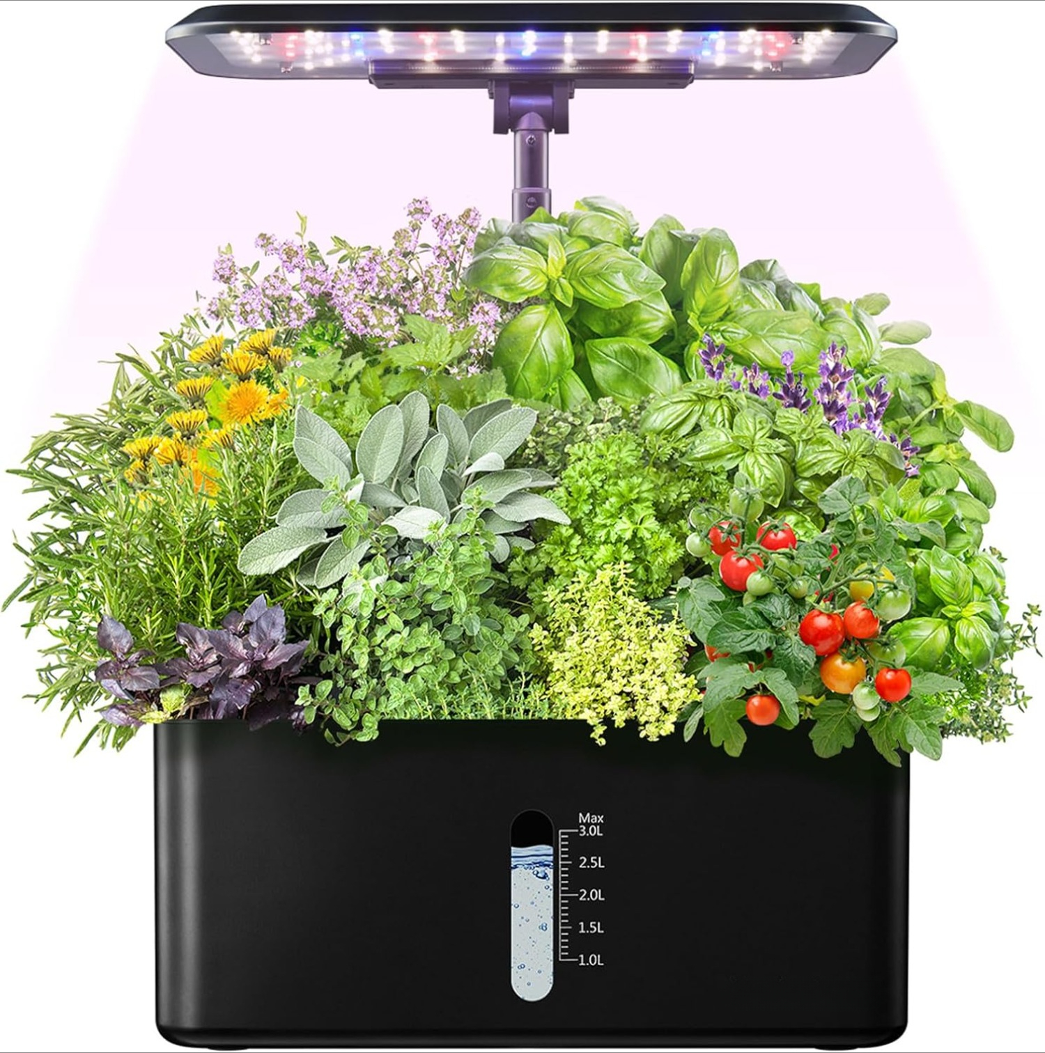 Hydroponics Growing System Indoor Garden: Herb Garden Kit Indoor with ...
