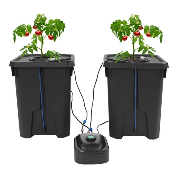 Hydroponics Growing System, Recirculating Drip Garden System with 2 Hydroponics Growing Buckets & Air Pump, Deep Water Drip Irrigation Garden System