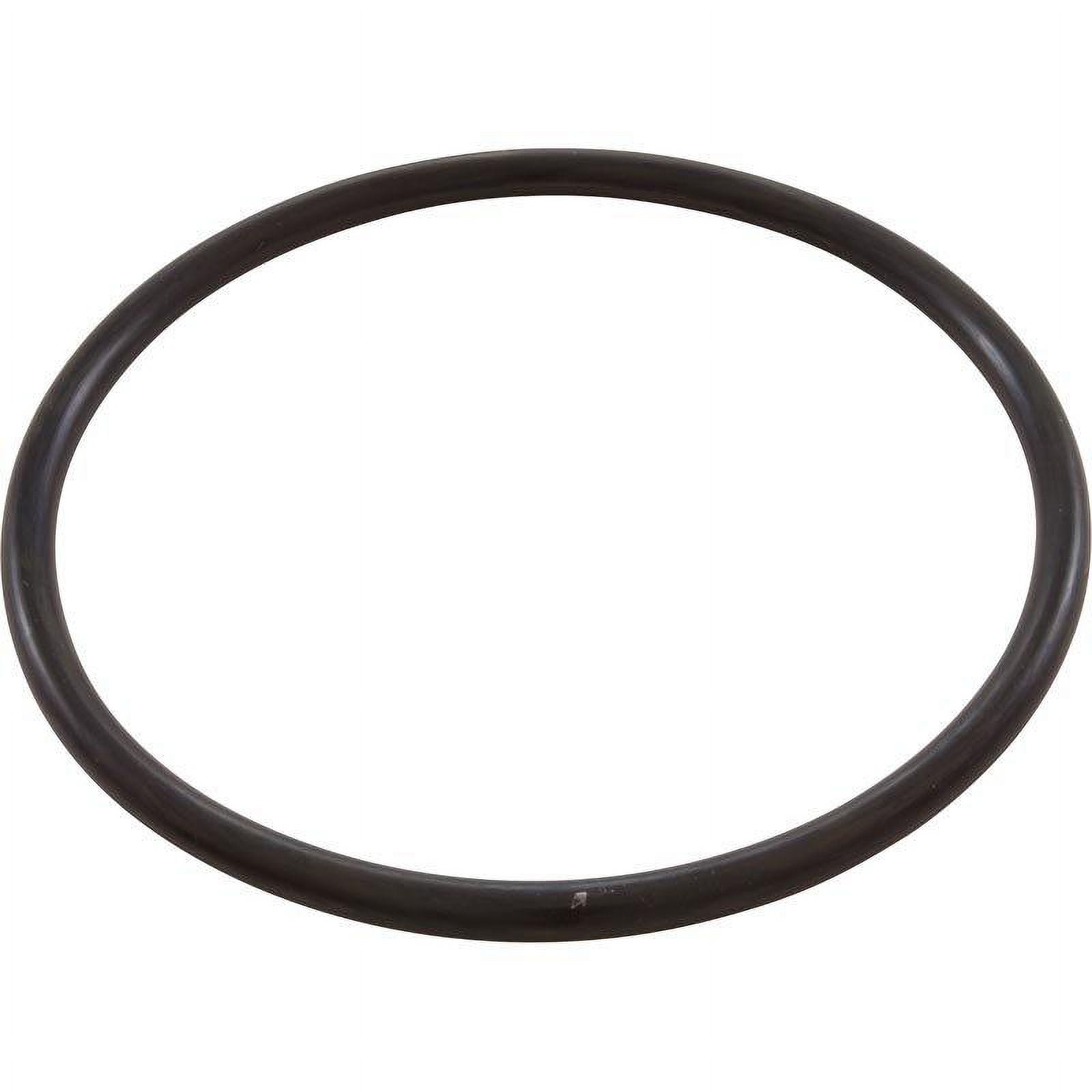 352602 Pentair Pacfab 590 Lid O-Ring For