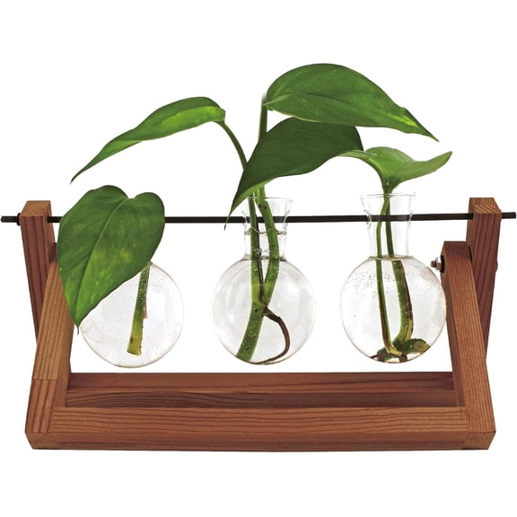 Hydrovase Blossom | 3 x Flower Vase with 1 x Wooden Stand | Table Planter | Modern Decoration | Glass Propagation Station | Plant Glass | Root Glass Vase | Gift for Mother's Day, Birthday