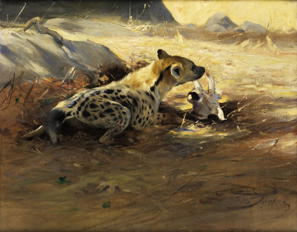 Hyena 1905 Canvas Art - FW Kuhnert (24 x 36)