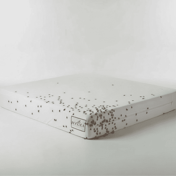 Hygea Natural Luxurious Bed Bug Mattress Protector Cover Zipper Bedding, Waterproof, XL Full