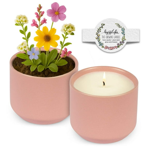 Hyggelight | The Growing Candle Apple and Pine Soy Candle with Wildflower Seeds, Scented Candle in Adelyn Pink Ceramic Container