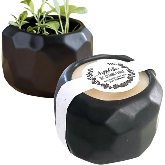 Hyggelight | The Growing Candle Autumn Vibes Soy Candle with Wildflower Seeds, Scented Candle in Emma Black Ceramic Container