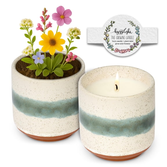 Hyggelight - The Growing Candle, Chai Scented, 8.5oz Ceramic Pot, Aromatherapy Candles for Home, 100% Soy, Edith Y101