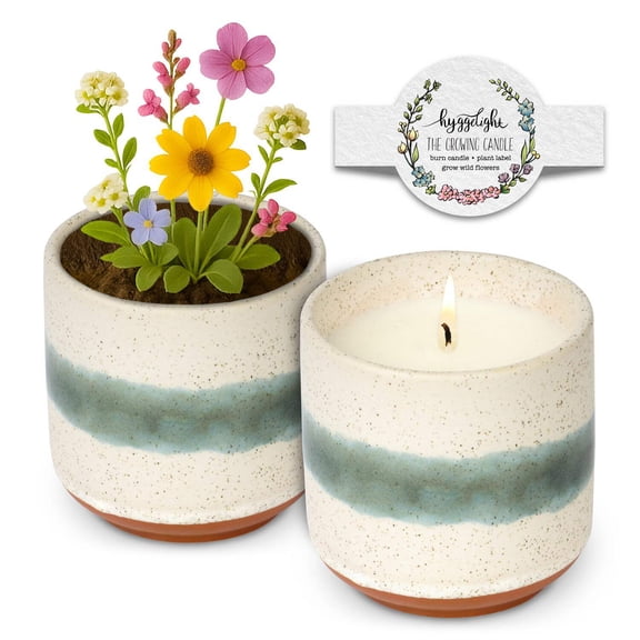 Hyggelight | The Growing Candle Chai Soy Candle with Wildflower Seeds, Scented Candle in Edith Glazed Terra-Cotta Container