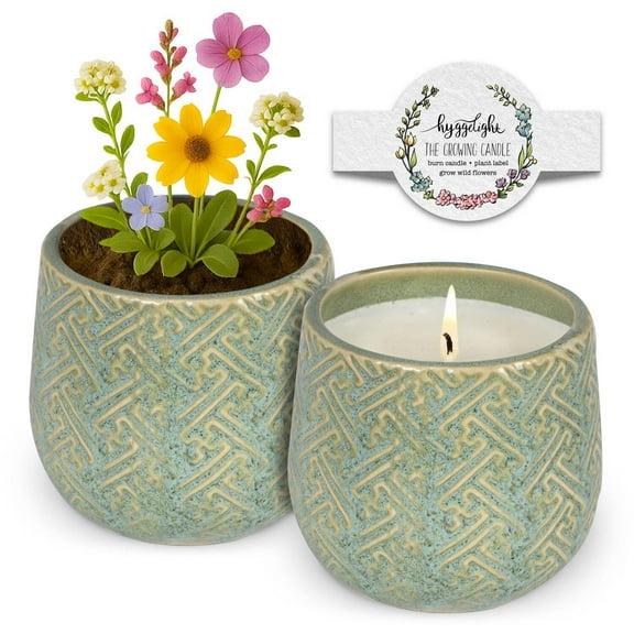 Hyggelight | The Growing Candle Juniper Citronella Soy Candle with Wildflower Seeds, Scented Candle in Ida Green Ceramic Container
