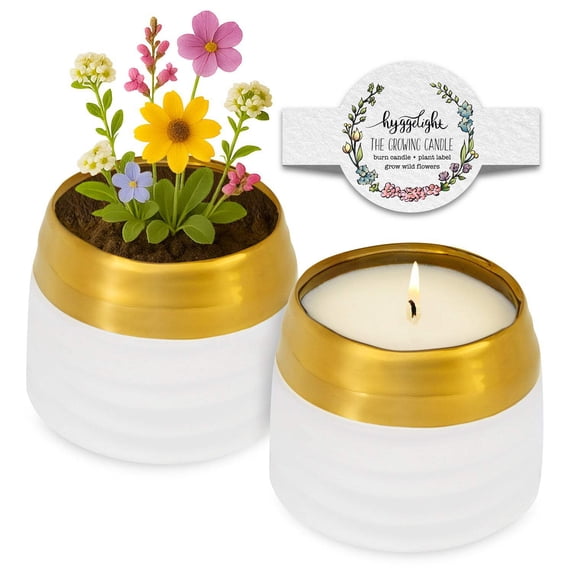Hyggelight | The Growing Candle Lemongrasss Soy Candle with Wildflower Seeds, Scented Candle in Clara Gold/White Ceramic Container