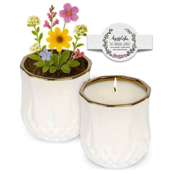 Hyggelight | The Growing Candle Sandalwood and Vanilla Soy Candle with Wildflower Seeds, Scented Candle in Astrid White Ceramic Container