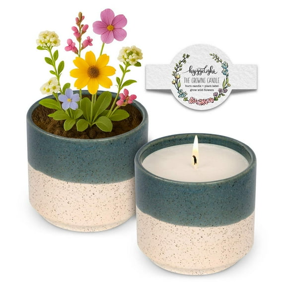 Hyggelight | The Growing Candle Spice and Fire Soy Candle with Wildflower Seeds, Scented Candle in Willow Blue/Off-White Ceramic Container