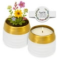 thumbnail image 1 of Hyggelight | The Growing Candle Unscented Soy Candle with Wildflower Seeds, Unscented Candle in Clara Gold/White Ceramic Container, 1 of 12