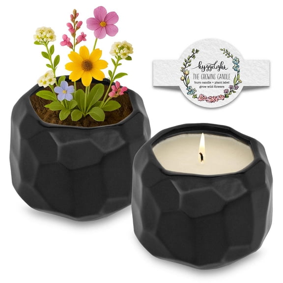 Hyggelight | The Growing Candle Unscented Soy Candle with Wildflower Seeds, Unscented Candle in Emma Black Ceramic Container