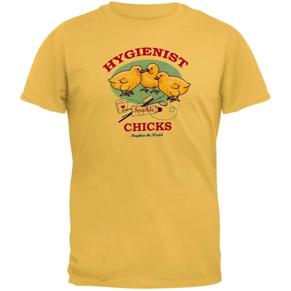 Hygienist Chicks Brighten The World Adult T-Shirt - Medium