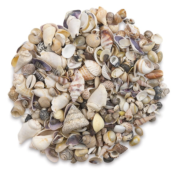 Hygloss Bucket O' Shells - Natural Mix, 16 oz
