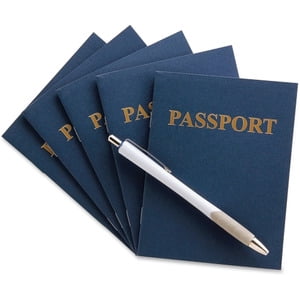 Hygloss My Passport Books, Pack of 24