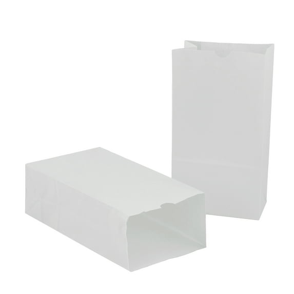 Hygloss White Gift Bags, 100 Count