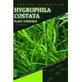 thumbnail image 1 of Hygrophila Costata : From Novice to Expert. Comprehensive Aquarium Plants Guide (Paperback), 1 of 1