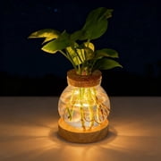 Hyindoor Plant Propagation Station with Warm Light, Hydroponic Plant with Wooden Base, Gifts for Mom Women