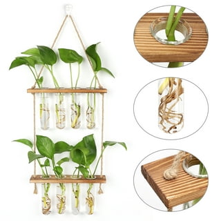 1pc Indoor Cultivation Plant Frozen Pointer Strip Wall-mounted