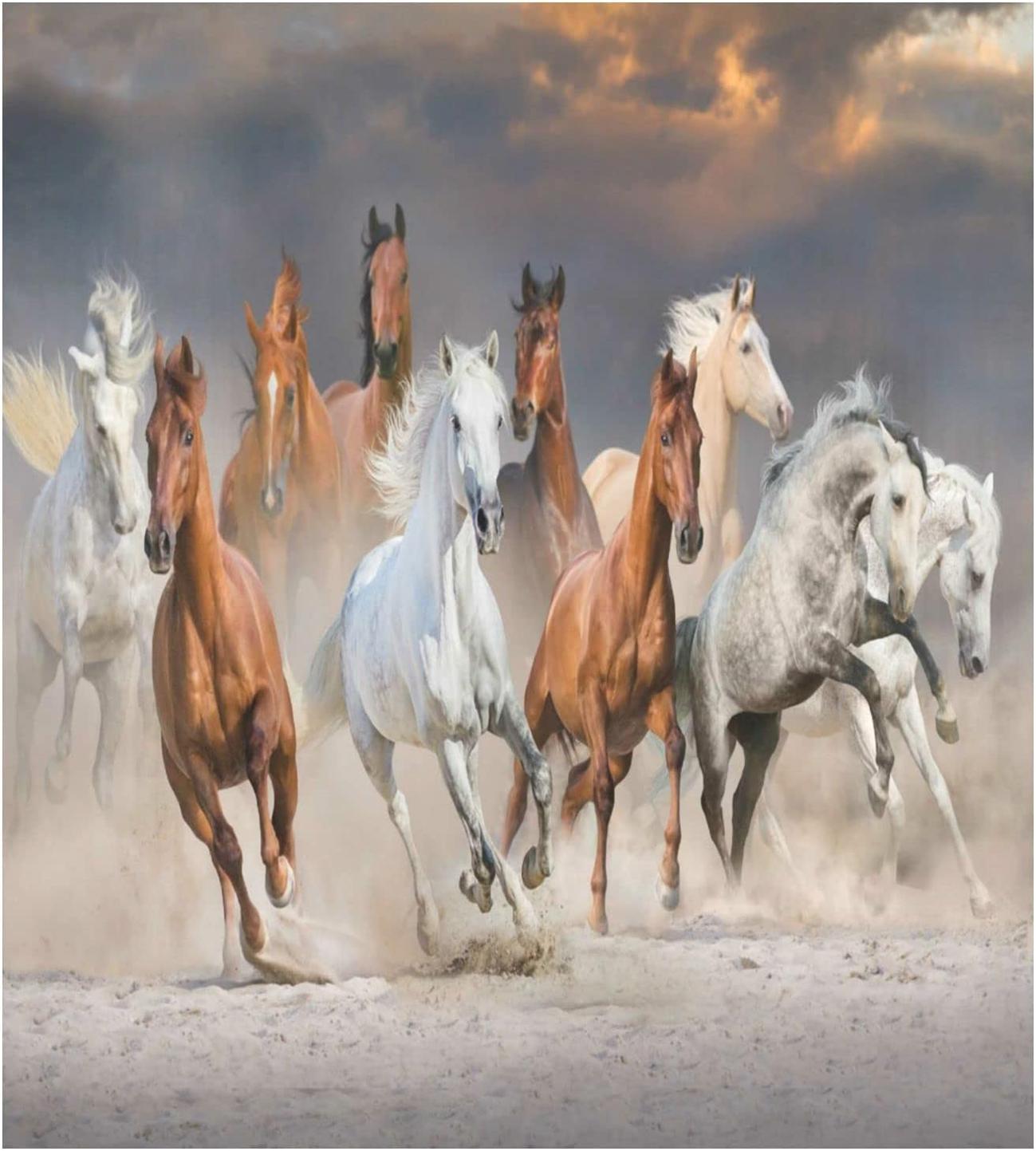 Hyjoy 23x26In Cloudy Horse Dishwasher Cover, Farmhouse Kitchen