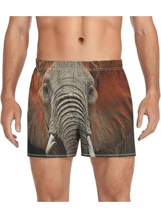 Men's Underwear Sexy Printed Boxer Briefs Mesh Panties Elephant Trunk  Boxers