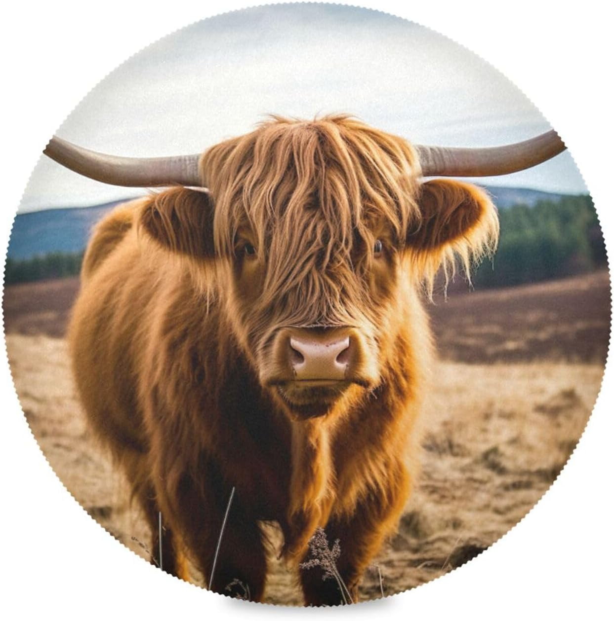 Hyjoy Brown Highland Cattle Round Placemats 15.4in,Washable Heat