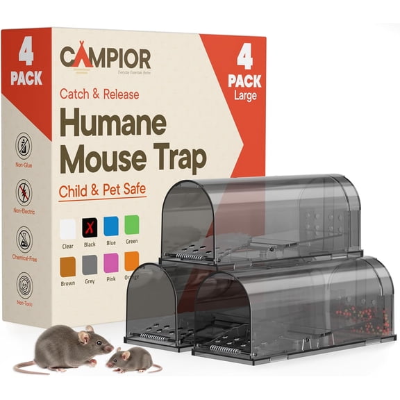 Campior Humane Mouse Trap Pack of 4, Live Catch & Release, Indoor/Outdoor, Pet & Child Safe, Reusable Plastic Cage, Black