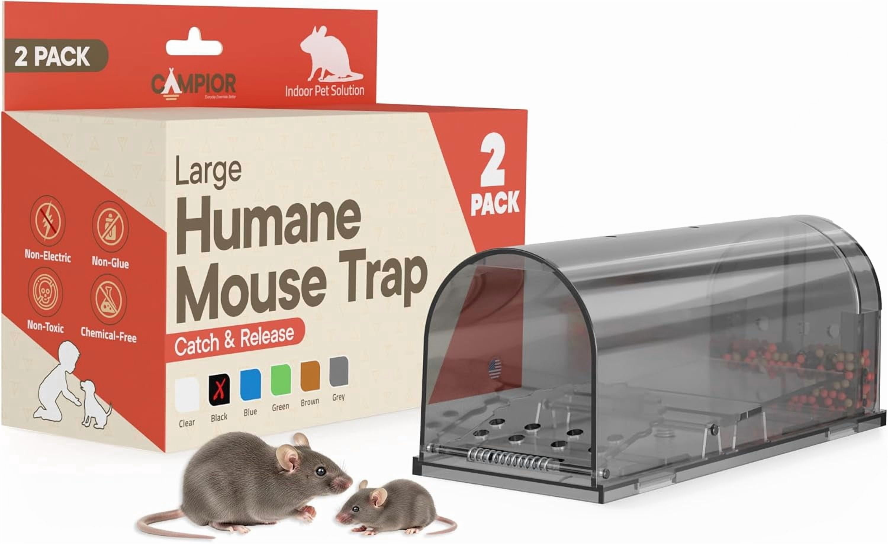 Campior Humane Mouse Trap Pack of 2, Live Catch & Release, Indoor/Outdoor, Pet & Child Safe, Reusable Plastic Cage, Black