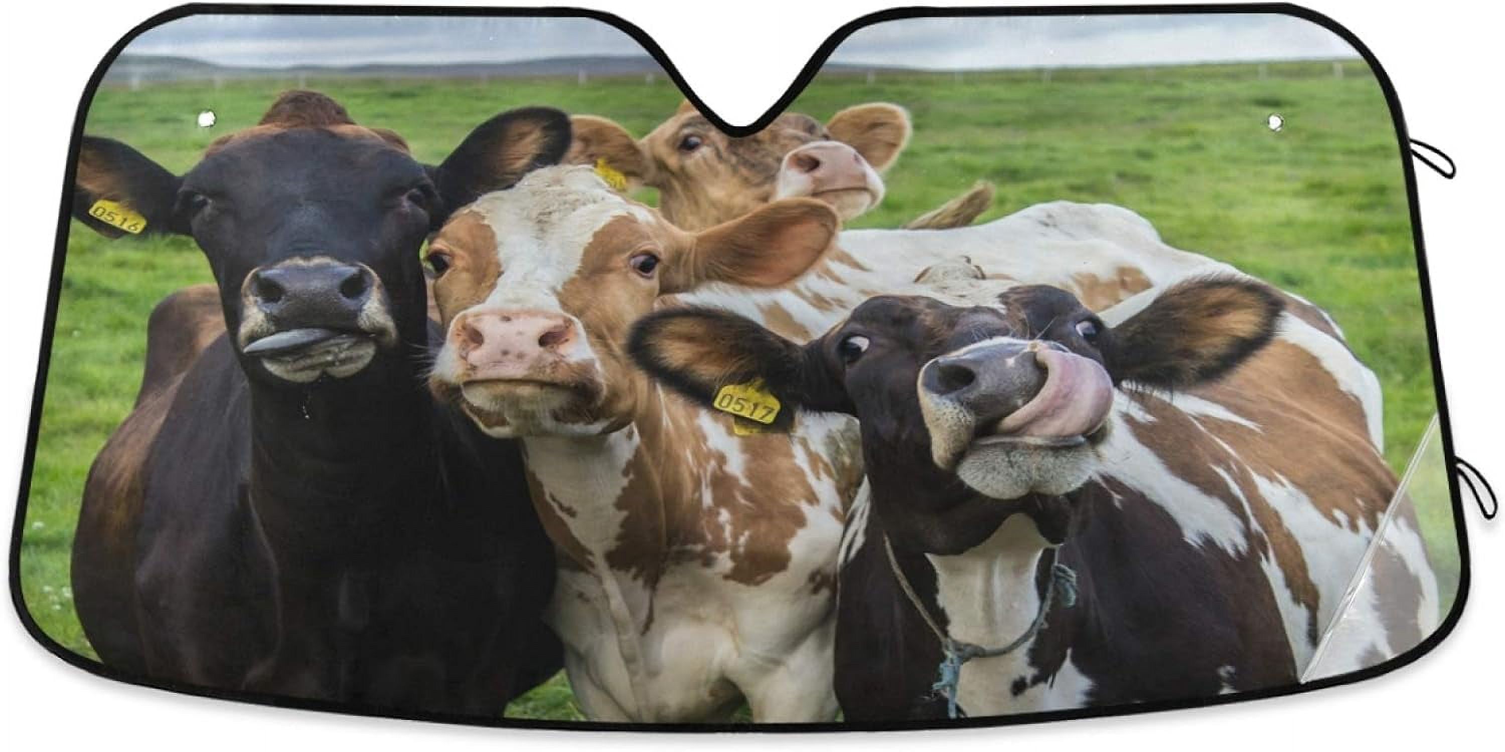 Hyjoy Four Interesting Cows Front Windshield Sun Shade, Foldable