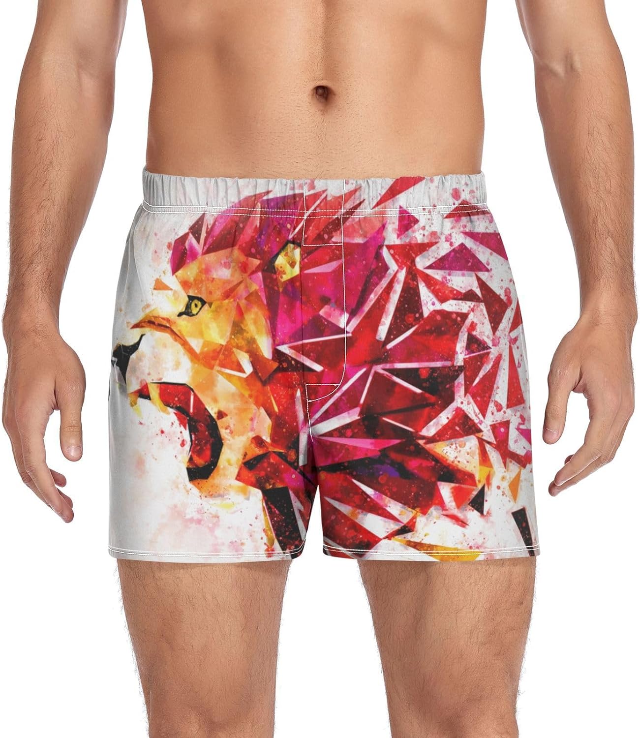 Hyjoy Lion Roaring Animal Print Underwear Man Men's Boxer Briefs Soft
