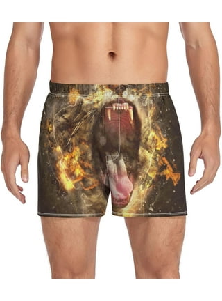 Lion King Underwear
