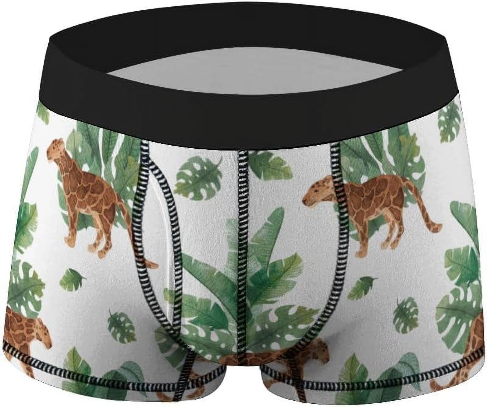 Hyjoy Men’s Boxer Briefs Trunks Underwear 1 Pack Watercolor Tigers