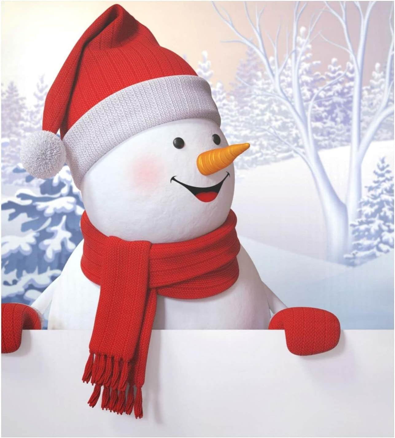 Hyjoy Snowman Winter Dishwasher Cover 23"Wx26"H , Farmhouse Kitchen Dishwasher Cover