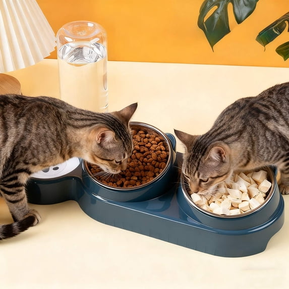 Hyknon 3 Elevated Cat Bowls 15°Tilted 2 Food Feeder&1 Automatic Water Bowl Non-Slip Removable Stainless Steel Dish for Indoor Cats Dogs