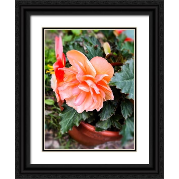 Hyler, JB 25x32 Black Ornate Wood Framed with Double Matting Museum Art Print Titled - Potted Beauty