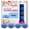 thumbnail image 1 of Hyoola, 6 Hour Wellness Scented Tealight Candles Blue Color 15 Pack, 1 of 4