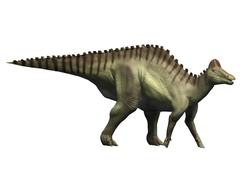 Hypacrosaurus dinosaur Canvas Art - Nobumichi TamuraStocktrek Images (17 x 13)