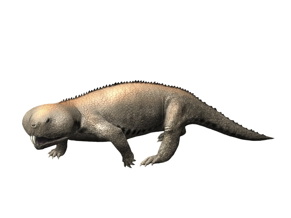 Hyperodapedon is a rhynchosaur from the Late Triassic Canvas Art - Nobumichi TamuraStocktrek Images (33 x 25)
