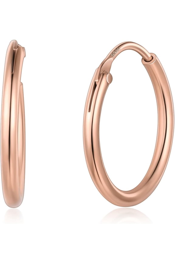 Hypoallergenic 925 Sterling Silver Hoop Earrings Circle Endless Huggie Round Hoops Earrings For Women, 15,20,30,50,70Mm (With Gift Box)[Z1]