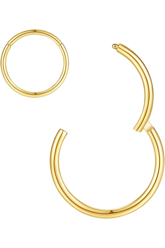 Hypoallergenic Nose Rings 20G 18G 16G 14G 12G 10G 8G 316l Surgical Steel Septum Jewelry Hinged Segment Ring Body Piercing Nose Hoop Lip Rings Nose Helix Cartilage Rook Earrings
