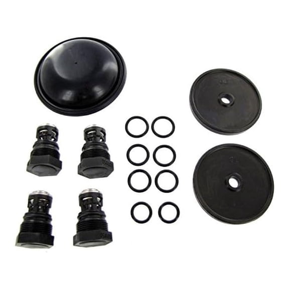 Hypro D252 Diaphragm Pump Repair Kit - Complete Replacement Parts - D252, D252GRGI, D252GRGI58 Models - Diaphragms, O-rings, Valves