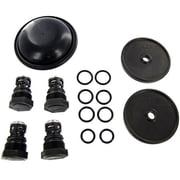 Hypro D252 Diaphragm Pump Repair Kit - Complete