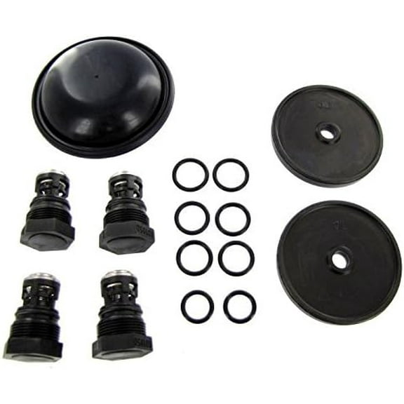 Hypro D252 Diaphragm Pump Repair Kit - Complete