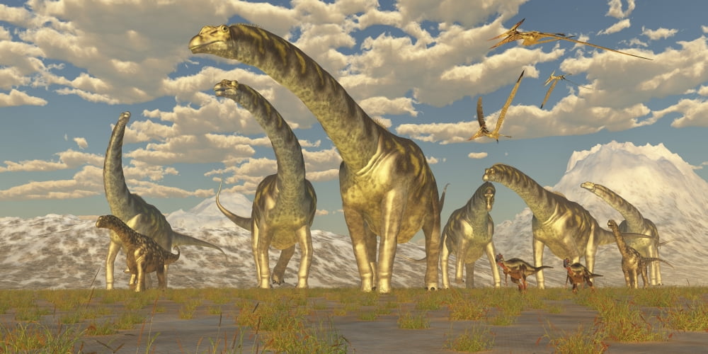 Hypsilophodon and pteranodon dinosaurs accompany a herd of Argentinosaurus Canvas Art - Corey FordStocktrek Images (20 x 10)