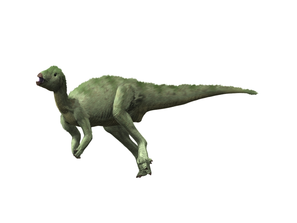 Hypsilophodon foxii dinosaur Canvas Art - Nobumichi TamuraStocktrek Images (17 x 13)