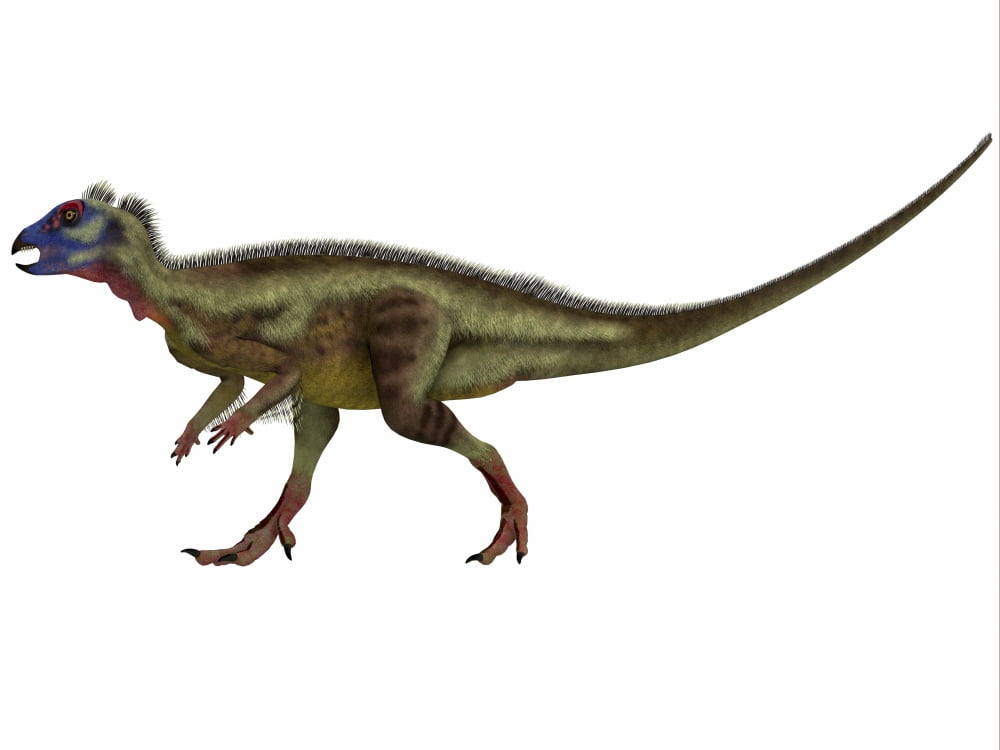 Hypsilophodon is an ornithopod dinosaur from the Cretaceous Period Canvas Art - Corey FordStocktrek Images (17 x 13)