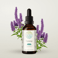 thumbnail image 1 of HerbEra Hyssop Tincture, Herbal Dietary Supplement for Respiratory Support, Hyssop (Hyssopus officinalis) Dried Herb Extract, Natural, Alcohol Tincture, Drops 2 oz, 1 of 7