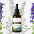 thumbnail image 1 of Secrets Of The Tribe Hyssop Organic Tincture Dietary Supplement, Natural Herbal Extract for Respiratory Support, Certified Organic Hyssop (Hyssopus officinalis) Dried Herb, Alcohol Extract Drops 2 oz, 1 of 6