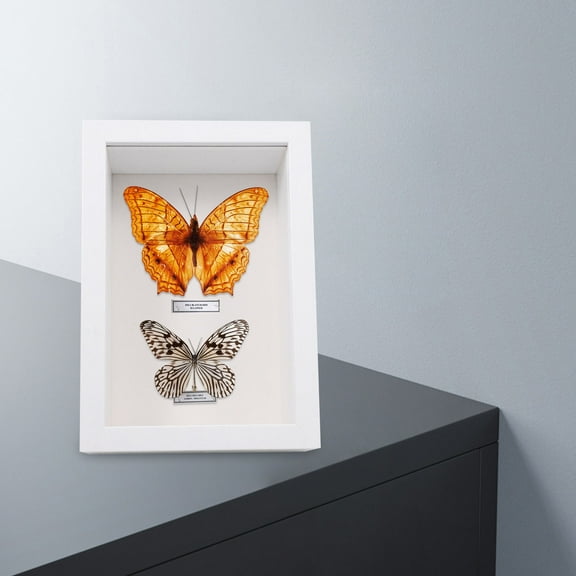 Hytrove 1Pack White Wood Shadow Box for Office Decor and Photo Frame 16.6X11.6X6.5CM